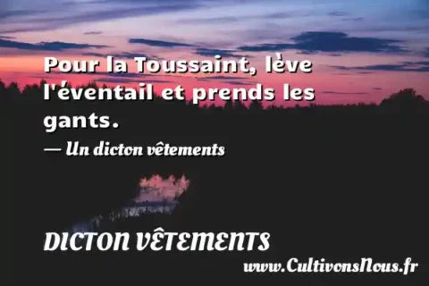 Pour la Toussaint, lève l éventail et prends les gants. - Un dicton vêtements DICTON VÊTEMENTS