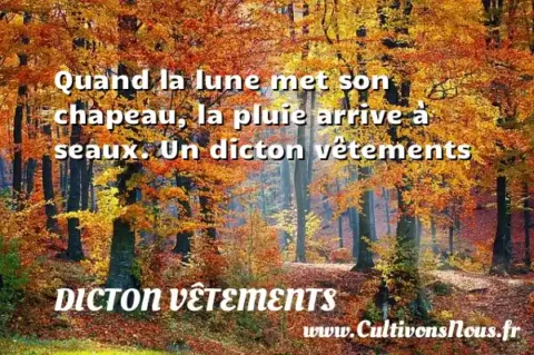 Quand la lune met son chapeau, la pluie arrive à seaux. Un dicton vêtements DICTON VÊTEMENTS
