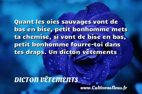 Quant les oies sauvages vont de bas en bise, petit bonhomme mets ta chemise, si vont de bise en bas, petit bonhomme fourre-toi dans tes draps. Un dicton vêtements DICTON VÊTEMENTS