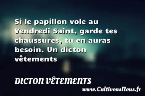 Si le papillon vole au Vendredi Saint, garde tes chaussures, tu en auras besoin. Un dicton vêtements DICTON VÊTEMENTS