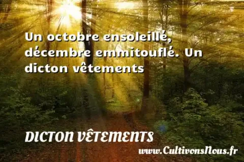 Un octobre ensoleillé, décembre emmitouflé. Un dicton vêtements DICTON VÊTEMENTS