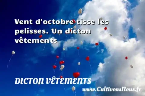 Vent d octobre tisse les pelisses. Un dicton vêtements DICTON VÊTEMENTS