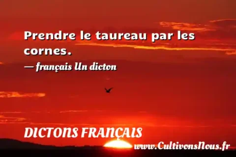 Prendre le taureau par les cornes. - français Un dicton DICTONS FRANÇAIS