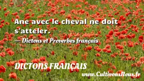 Ane avec le cheval ne doit s atteler. - Dictons et Proverbes français DICTONS FRANÇAIS