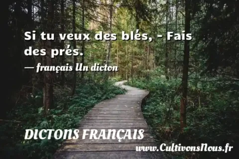 Si tu veux des blés, - Fais des prés. - français Un dicton DICTONS FRANÇAIS