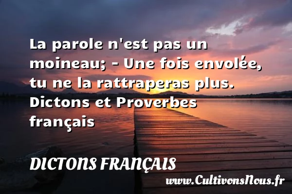 La parole n’est pas un - Dictons français