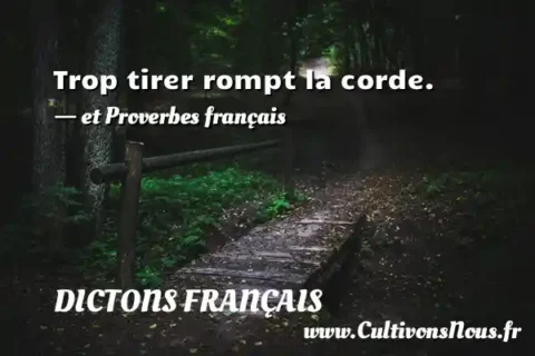 Trop tirer rompt la corde. - et Proverbes français DICTONS FRANÇAIS