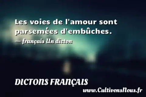 Les voies de l amour sont parsemées d embûches. - français Un dicton DICTONS FRANÇAIS