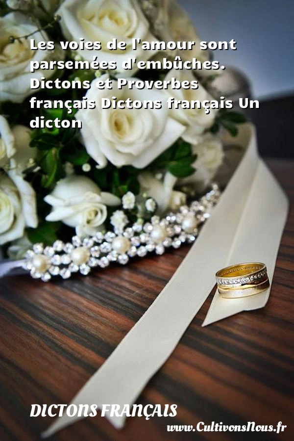 Les voies de l’amour sont - Dictons français