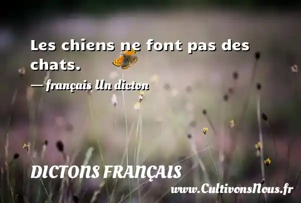 Les chiens ne font pas des chats. - français Un dicton DICTONS FRANÇAIS