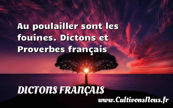 Au poulailler sont les - Dictons français