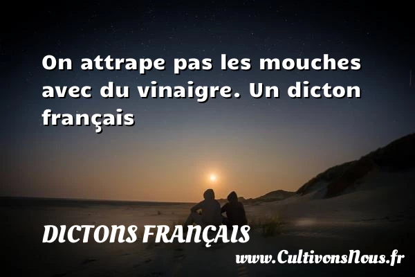 On attrape pas les mouches - Dictons français