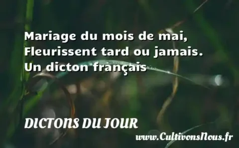 Mariage du mois de mai, Fleurissent tard ou jamais. Un dicton français DICTONS DU JOUR