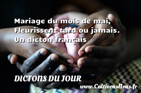 Mariage du mois de mai, - Dictons du jour