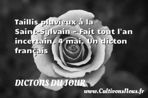 Taillis pluvieux à la Saint-Sylvain - Fait tout l an incertain. 4 mai. Un dicton français DICTONS DU JOUR