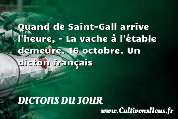 Quand de Saint-Gall arrive - Dictons du jour