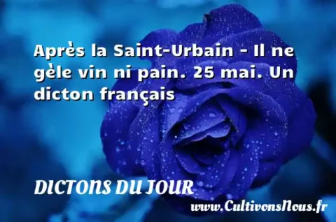 Après la Saint-Urbain - Il ne gèle vin ni pain. 25 mai. Un dicton français DICTONS DU JOUR