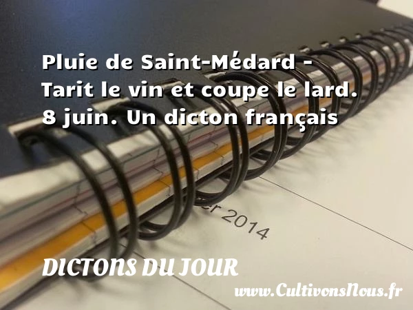 Pluie de Saint-Médard – - Dictons du jour