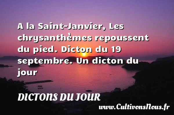 A la Saint-Janvier, Les - Dictons du jour