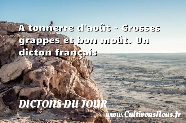 A tonnerre d’août – Grosses - Dictons du jour
