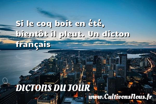 Si le coq boit en été, - Dictons du jour