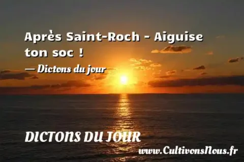 Après Saint-Roch - Aiguise ton soc ! - Dictons du jour  DICTONS DU JOUR