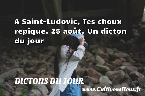 A Saint-Ludovic, Tes choux - Dictons du jour