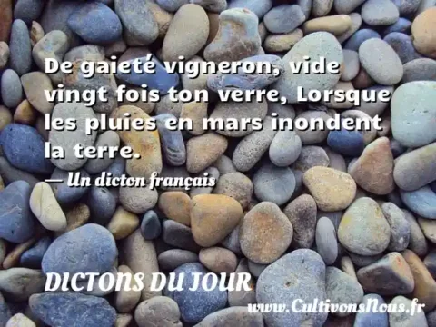 De gaieté vigneron, vide vingt fois ton verre, Lorsque les pluies en mars inondent la terre. - Un dicton français DICTONS DU JOUR