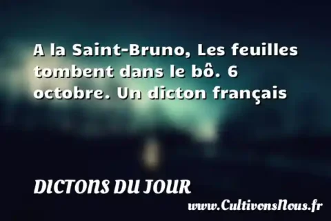 A la Saint-Bruno, Les feuilles tombent dans le bô. 6 octobre. Un dicton français DICTONS DU JOUR