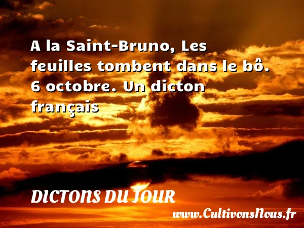 A la Saint-Bruno, Les - Dictons du jour