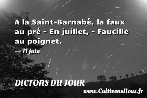 A la Saint-Barnabé, la faux au pré - En juillet, - Faucille au poignet. - 11 juin DICTONS DU JOUR