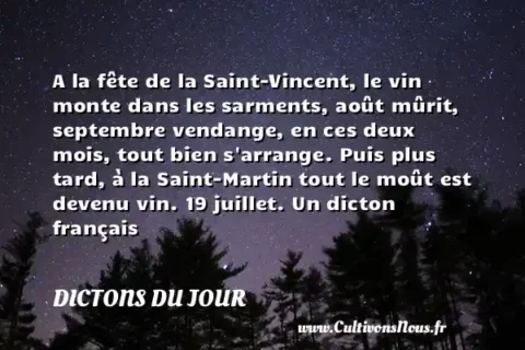 A la fête de la Saint-Vincent, le vin monte dans les sarments, août mûrit, septembre vendange, en ces deux mois, tout bien s arrange. Puis plus tard, à la Saint-Martin tout le moût est devenu vin. 19 juillet. Un dicton français DICTONS DU JOUR