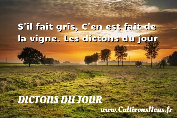S’il fait gris, C’en est - Dictons du jour