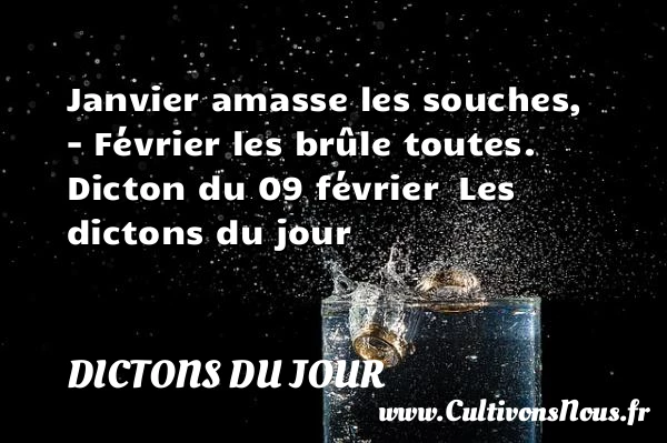 Janvier amasse les souches, - Dictons du jour