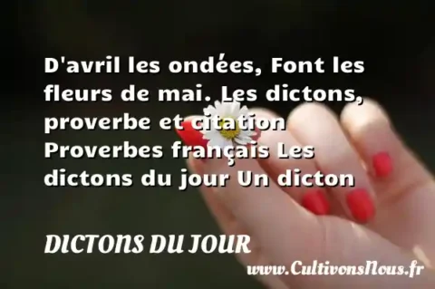 D avril les ondées, Font les fleurs de mai. Les dictons, proverbe et citation Proverbes français Les dictons du jour Un dicton DICTONS DU JOUR