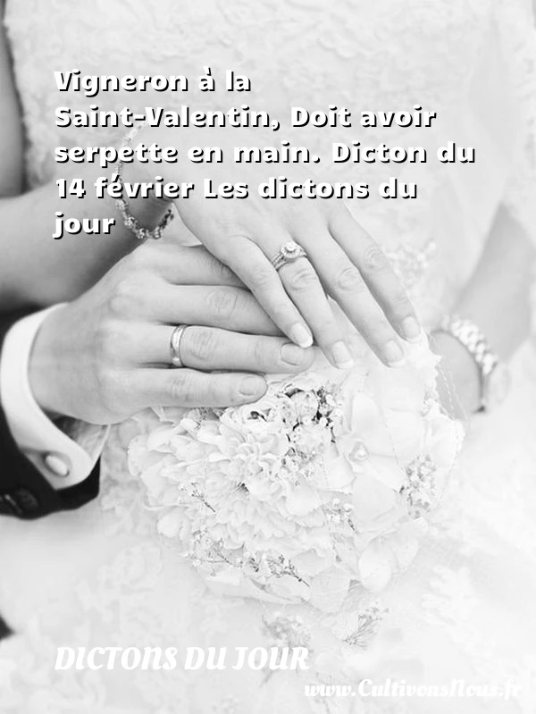 Vigneron à la - Dictons du jour