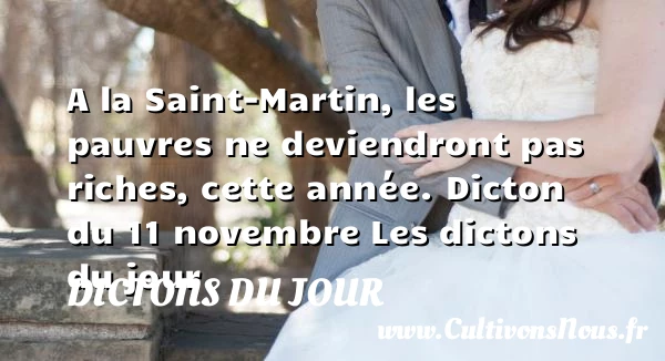 A la Saint-Martin, les - Dictons du jour