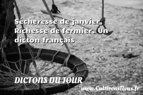 Sécheresse de janvier, Richesse de fermier. Un dicton français DICTONS DU JOUR