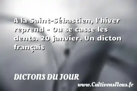 A la Saint-Sébastien, l hiver reprend - Ou se casse les dents. 20 janvier. Un dicton français DICTONS DU JOUR