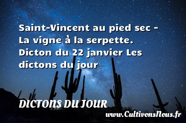 Saint-Vincent au pied sec – - Dictons du jour