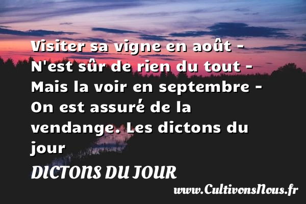 Visiter sa vigne en août – - Dictons du jour