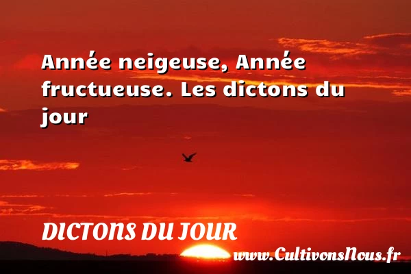 Année neigeuse, Année - Dictons du jour