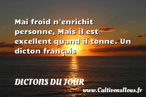 Mai froid n’enrichit - Dictons du jour