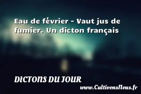 Eau de février - Vaut jus de fumier. Un dicton français DICTONS DU JOUR