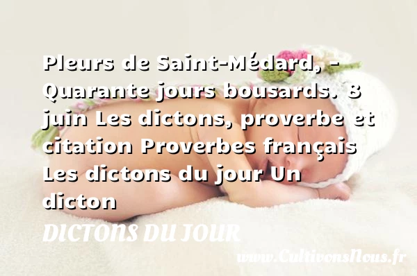 Pleurs de Saint-Médard, – - Dictons du jour