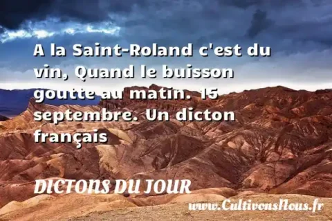 A la Saint-Roland c est du vin, Quand le buisson goutte au matin. 15 septembre. Un dicton français DICTONS DU JOUR