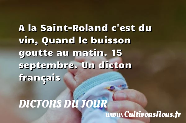 A la Saint-Roland c’est du - Dictons du jour