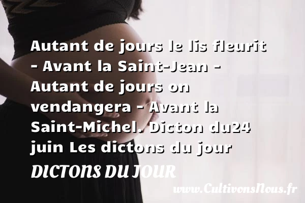 Autant de jours le lis - Dictons du jour
