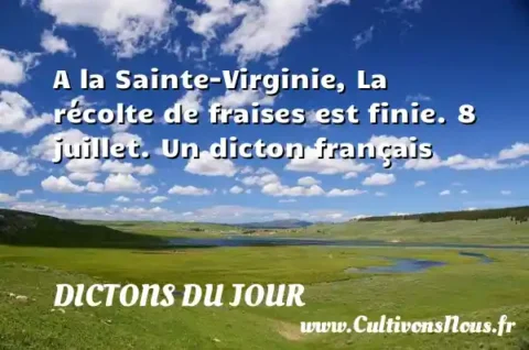 A la Sainte-Virginie, La récolte de fraises est finie. 8 juillet. Un dicton français DICTONS DU JOUR