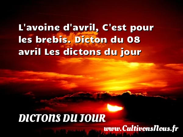 L’avoine d’avril, C’est - Dictons du jour